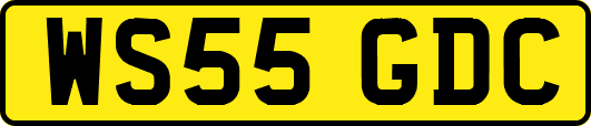 WS55GDC
