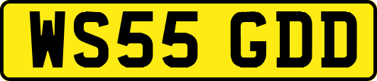 WS55GDD