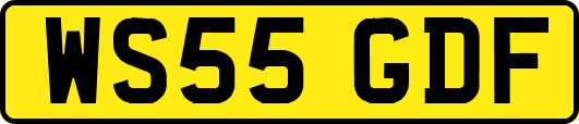 WS55GDF