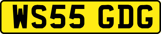 WS55GDG