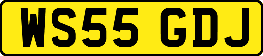 WS55GDJ