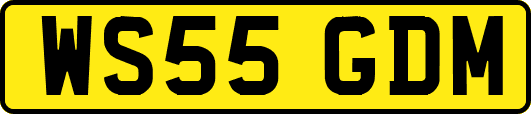 WS55GDM