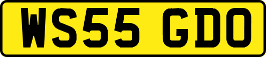 WS55GDO