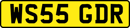 WS55GDR