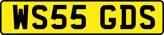 WS55GDS