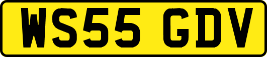 WS55GDV