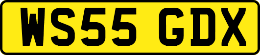 WS55GDX