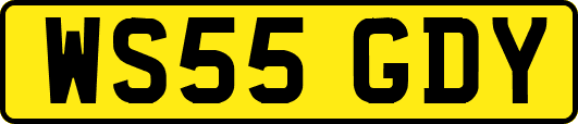 WS55GDY