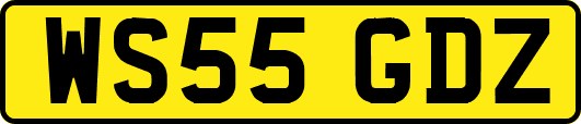 WS55GDZ