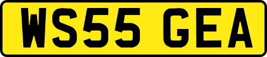 WS55GEA