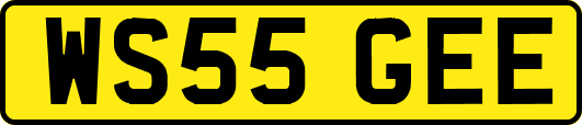 WS55GEE