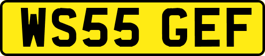 WS55GEF