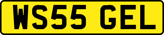 WS55GEL