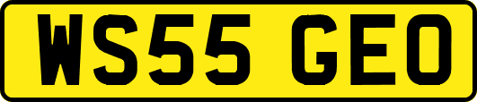 WS55GEO