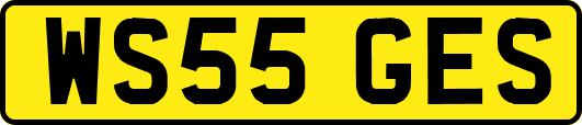 WS55GES