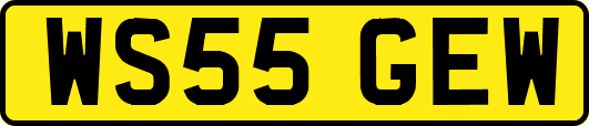 WS55GEW