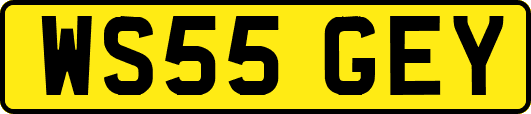 WS55GEY