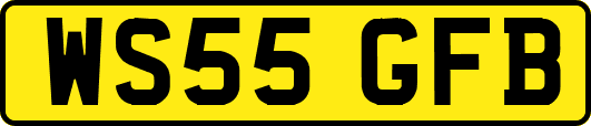 WS55GFB