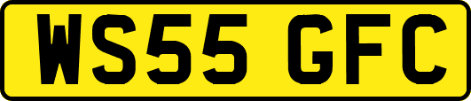 WS55GFC