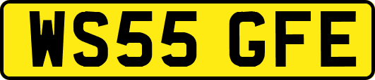 WS55GFE