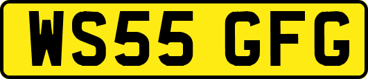 WS55GFG