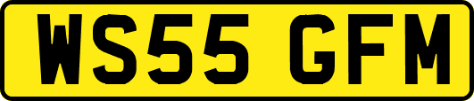 WS55GFM
