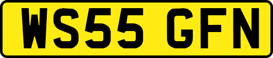WS55GFN