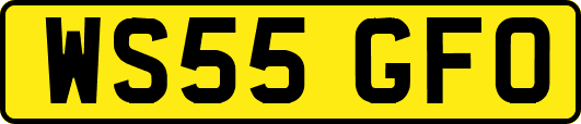 WS55GFO