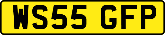 WS55GFP