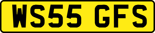 WS55GFS