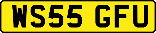 WS55GFU
