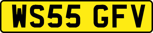 WS55GFV
