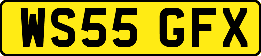 WS55GFX