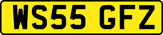 WS55GFZ