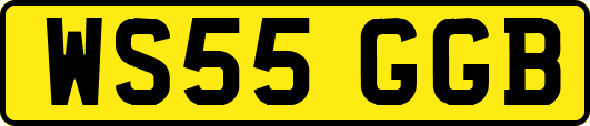WS55GGB