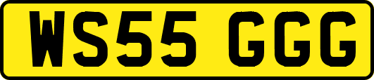 WS55GGG