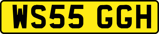 WS55GGH