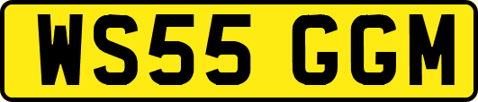 WS55GGM