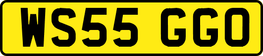 WS55GGO