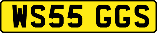 WS55GGS