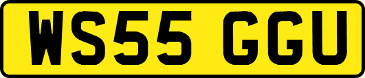 WS55GGU