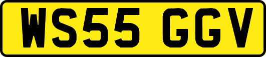 WS55GGV