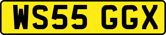WS55GGX