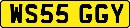WS55GGY