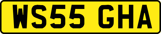 WS55GHA