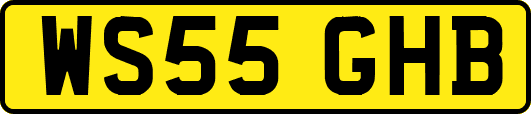 WS55GHB