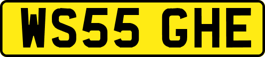 WS55GHE