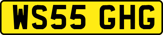 WS55GHG