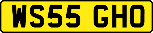 WS55GHO