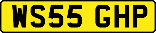 WS55GHP
